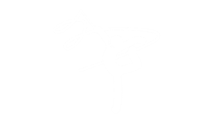 新体操コース